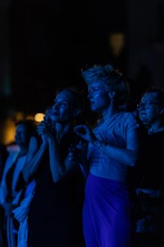 Dan drzˇavnosti, SIDDHARTA-28